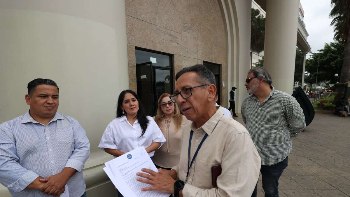 Vía a la costa espera que Cerro Azul sea declarado protegido.