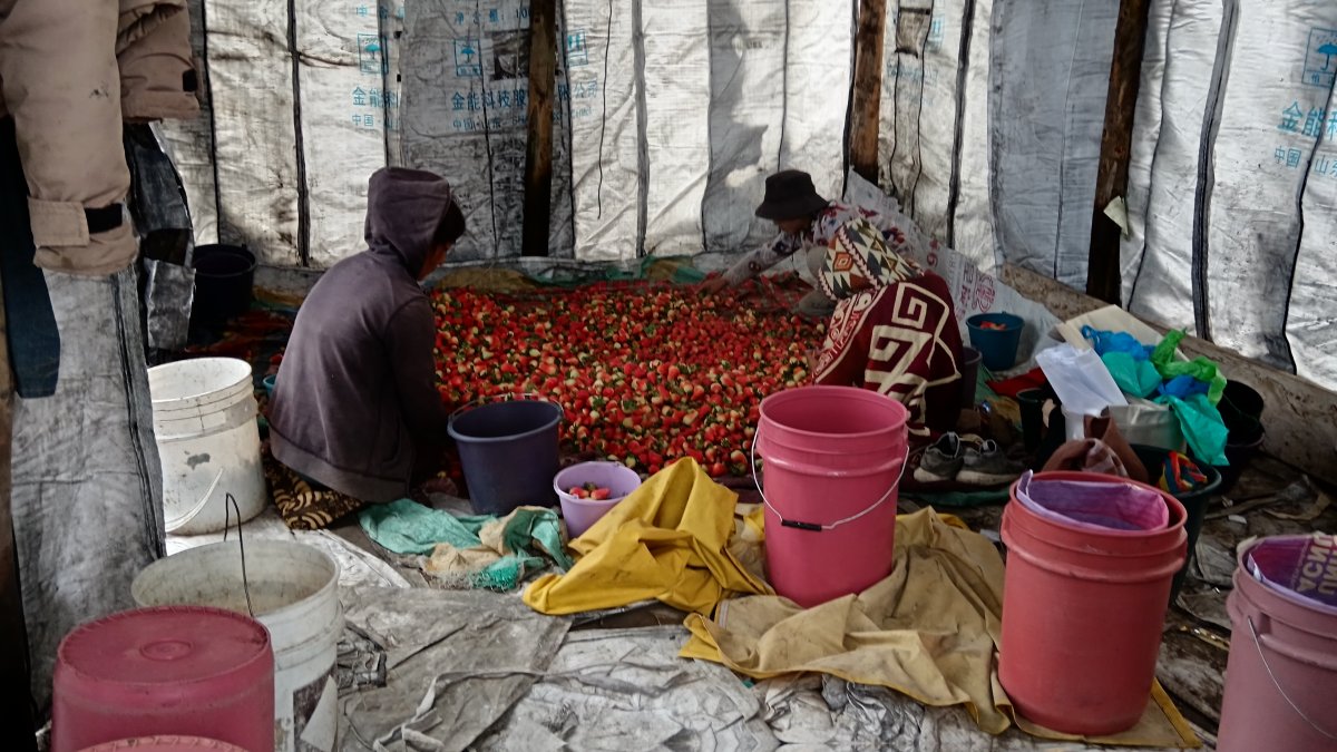 Mujer. Una fecha que destaca la importancia de la mujer rural en el país.