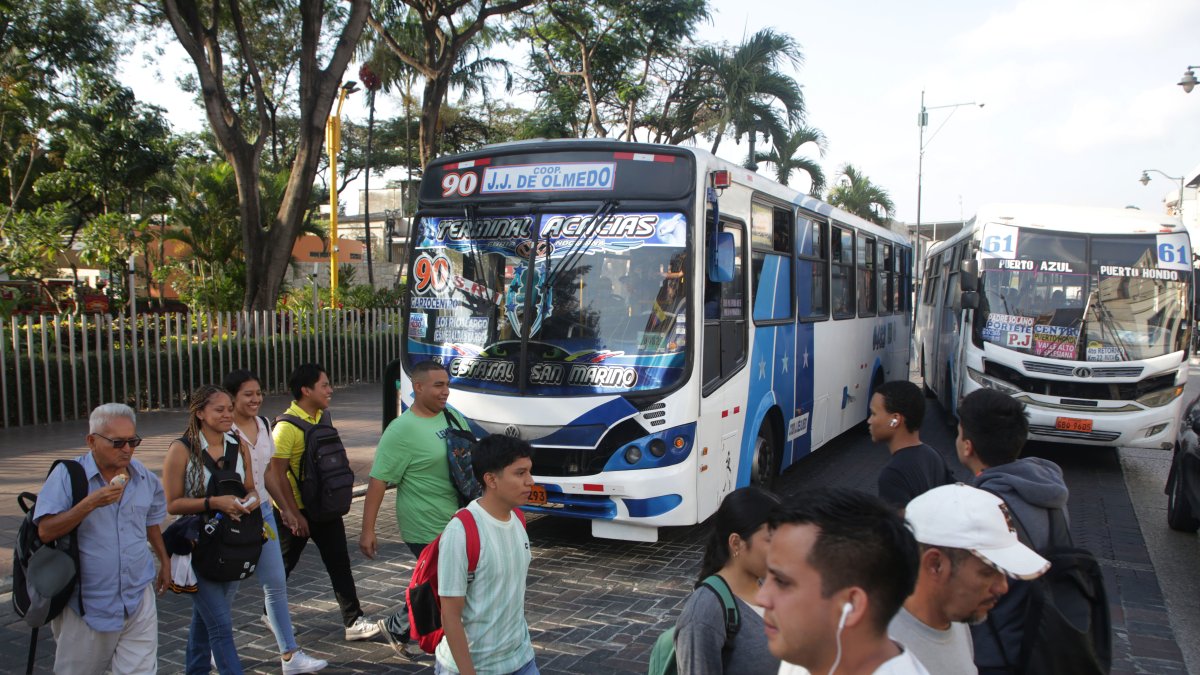 La ciudadanía, por años, ha venido exigiendo mejoras en el transporte público urbano.