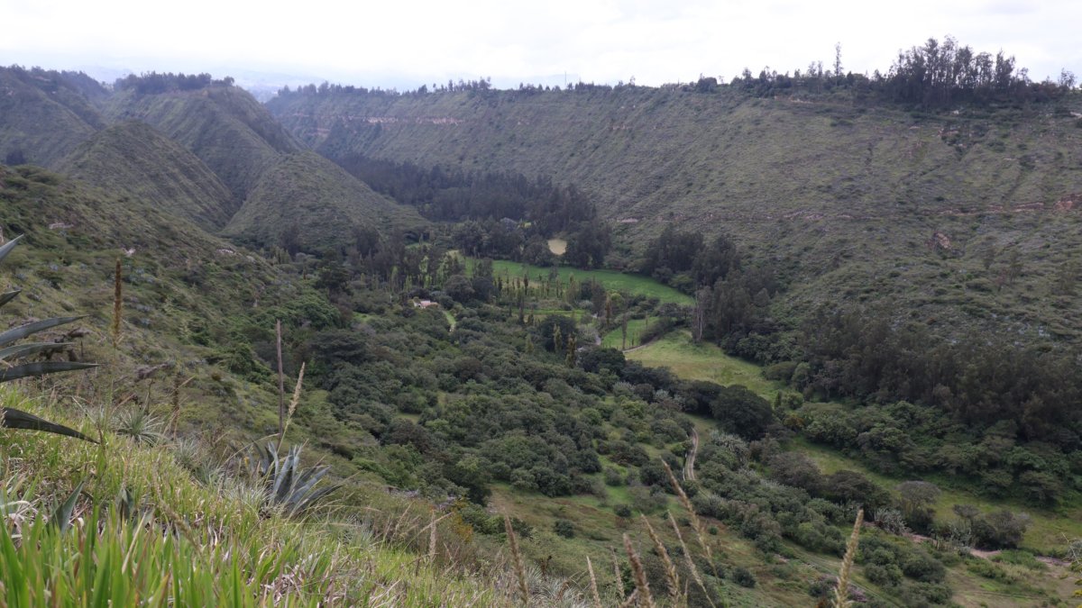 El valle de Uravía es una zona boscosa y rica en humedales, que cuenta con protección ecológica otorgada por el Municipio de Quito.