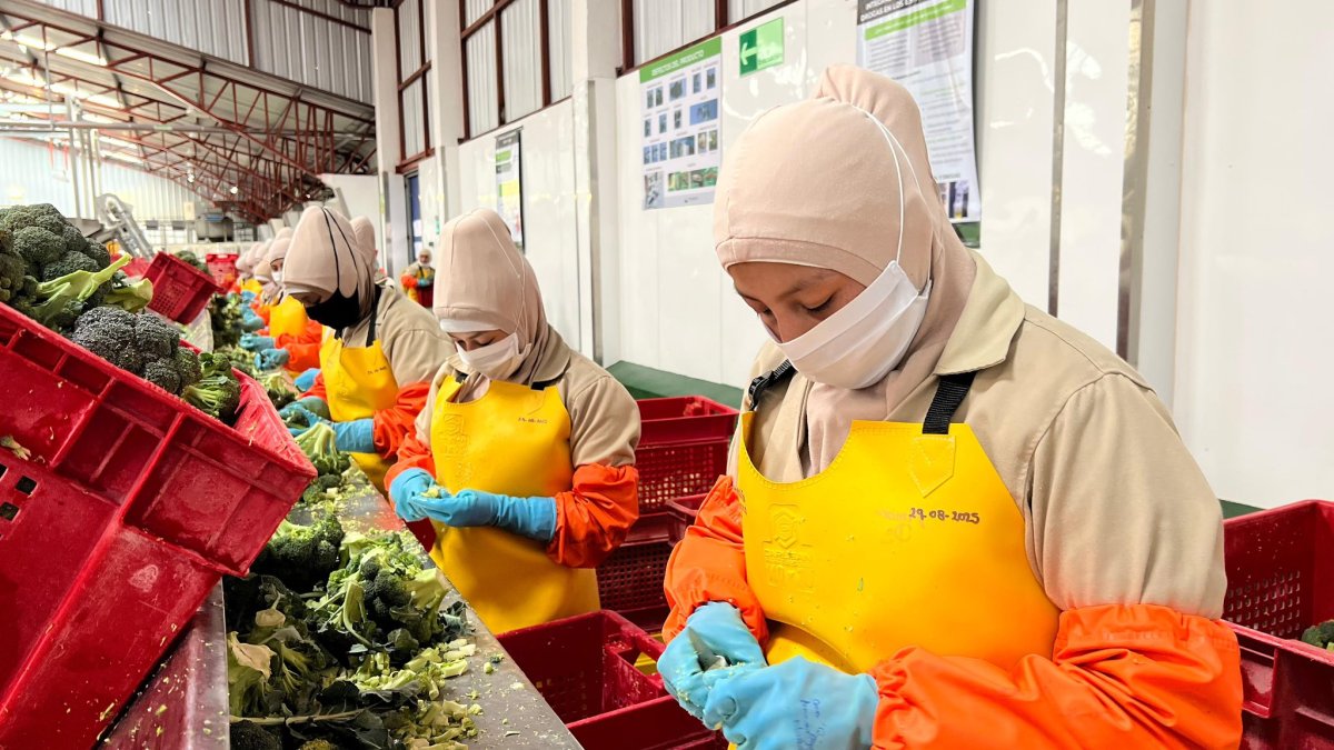 Comparativa: Salario básico en Ecuador versus otros países de América Latina.