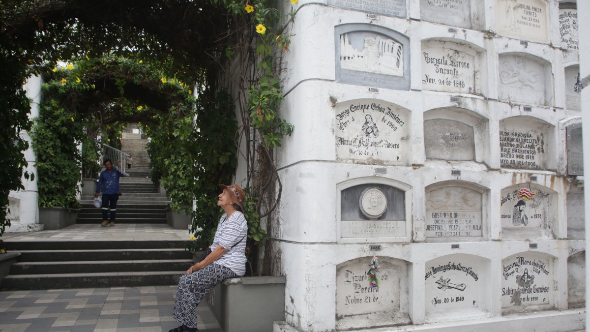 Visita. En Guayaquil, cada rincón del Cementerio Patrimonial de Guayaquil es diverso; en algunas zonas se observan plantas nativas.