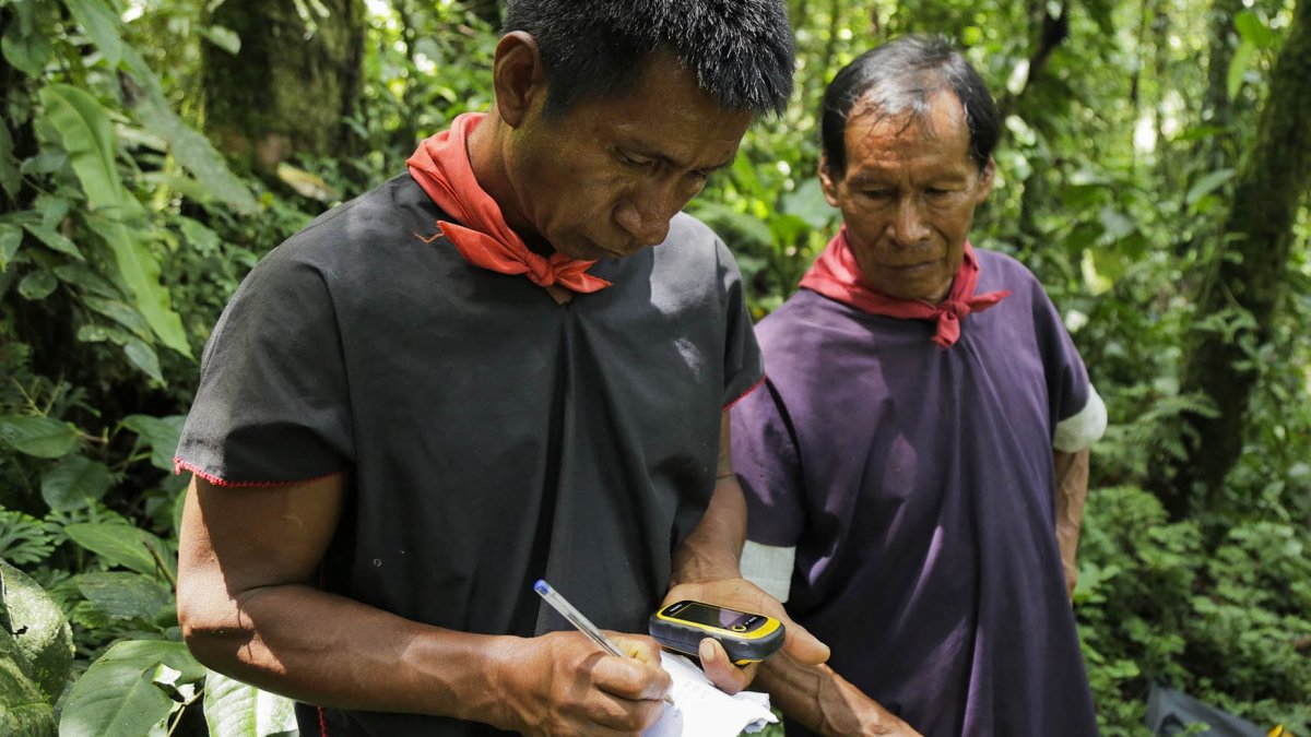 La Fundación Alianza Ceibo es una de las tres organizaciones que fueron convocadas a una audiencia para revisar el bloqueo de sus cuentas bancarias.
