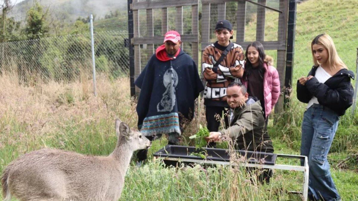 Rescate. Las especies rescatadas son devueltas a su hábitat.