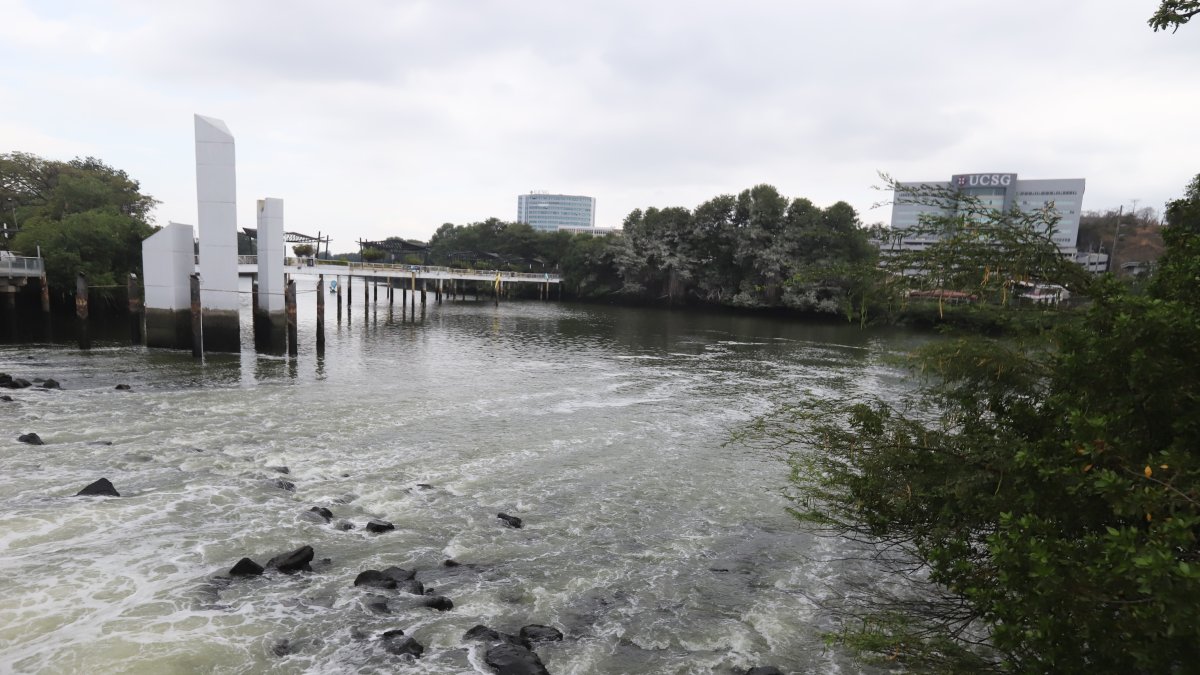 Ecosistema. En el estero Salado, en sectores como Guayarte (ingreso a la ciudadela Urdesa), se observa espuma generada por la descarga de aguas residuales domésticas e industriales.