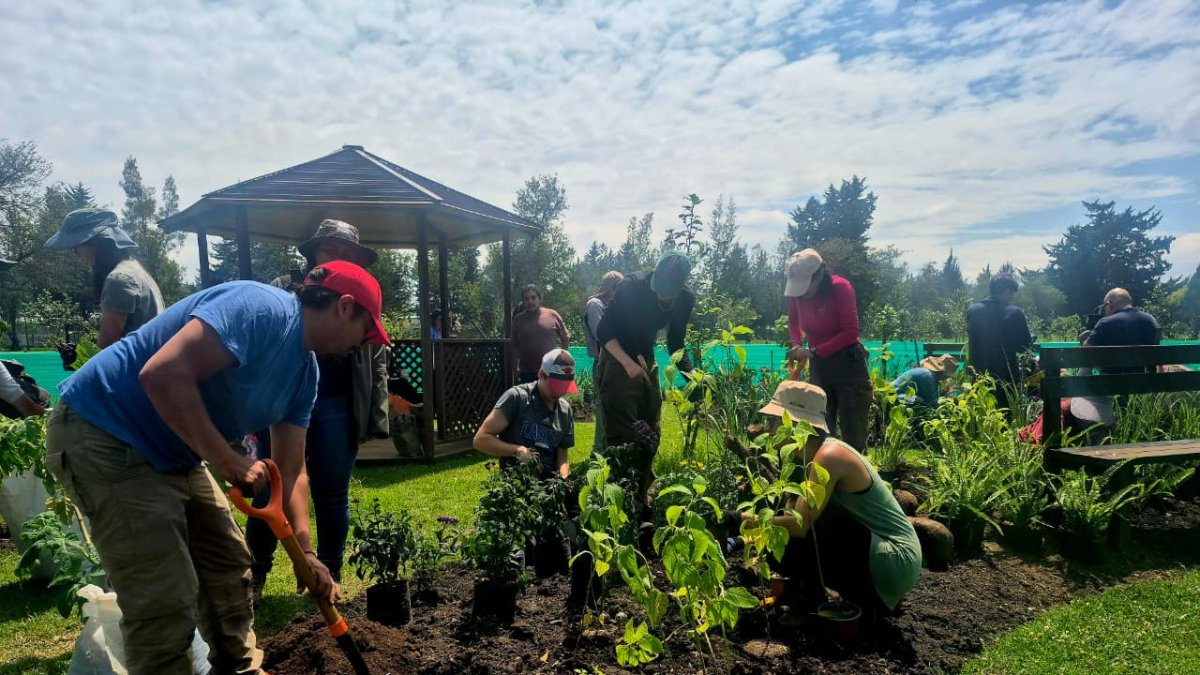 Voluntarios del Semillero Ciudadano y del equipo técnico del proyecto Hábitats Ecológicos Urbanos participaron en la siembra.