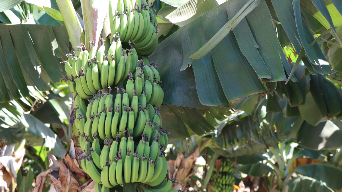 Referencial. Ecuador resalta los avances del nuevo acuerdo comercial.