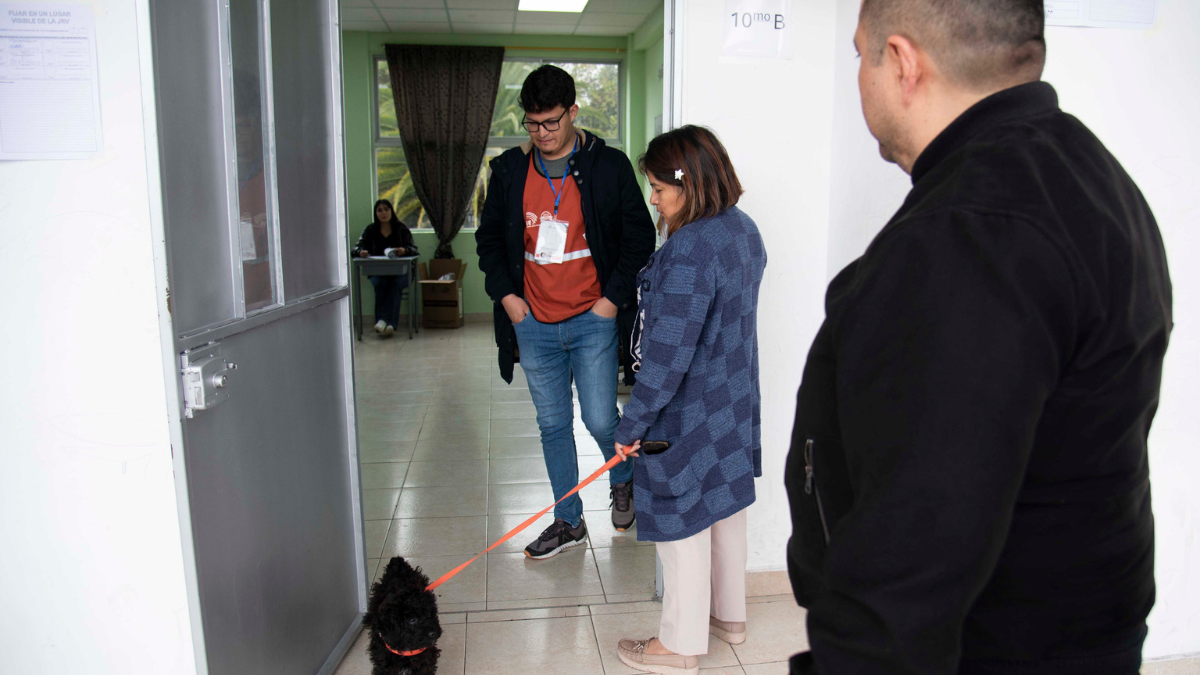 Varios ciudadanos llegaron a sus recintos electorales con sus mascotas.