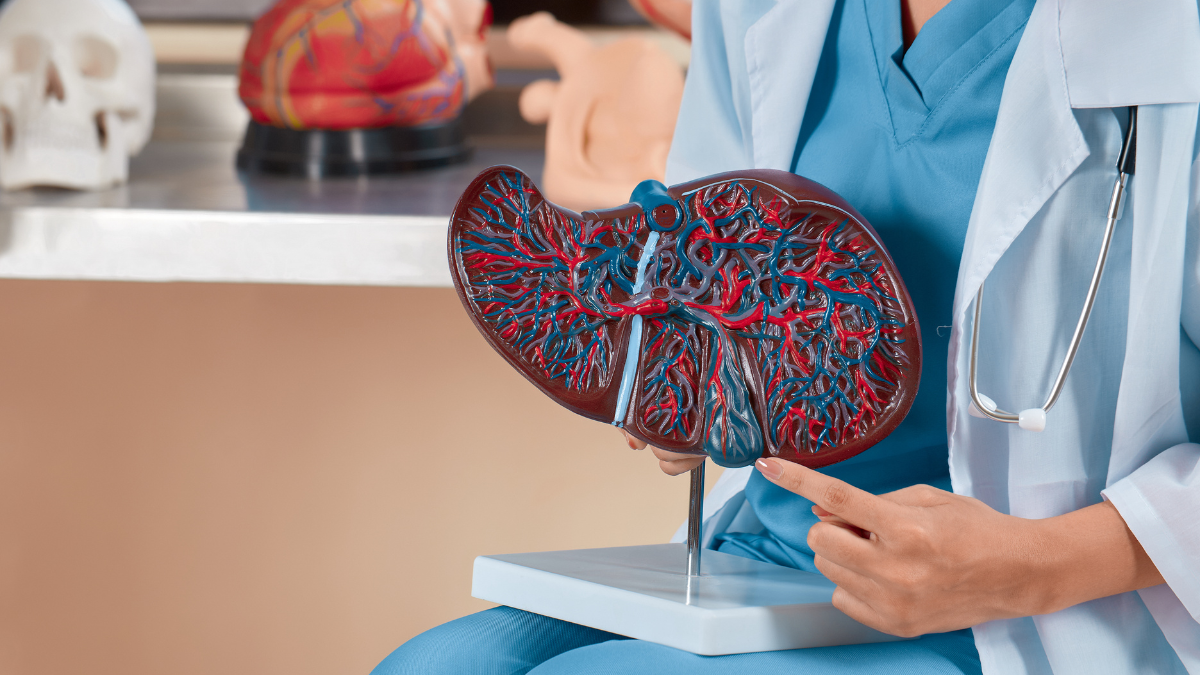 Guía definitiva con los mejores remedios naturales para el hígado graso