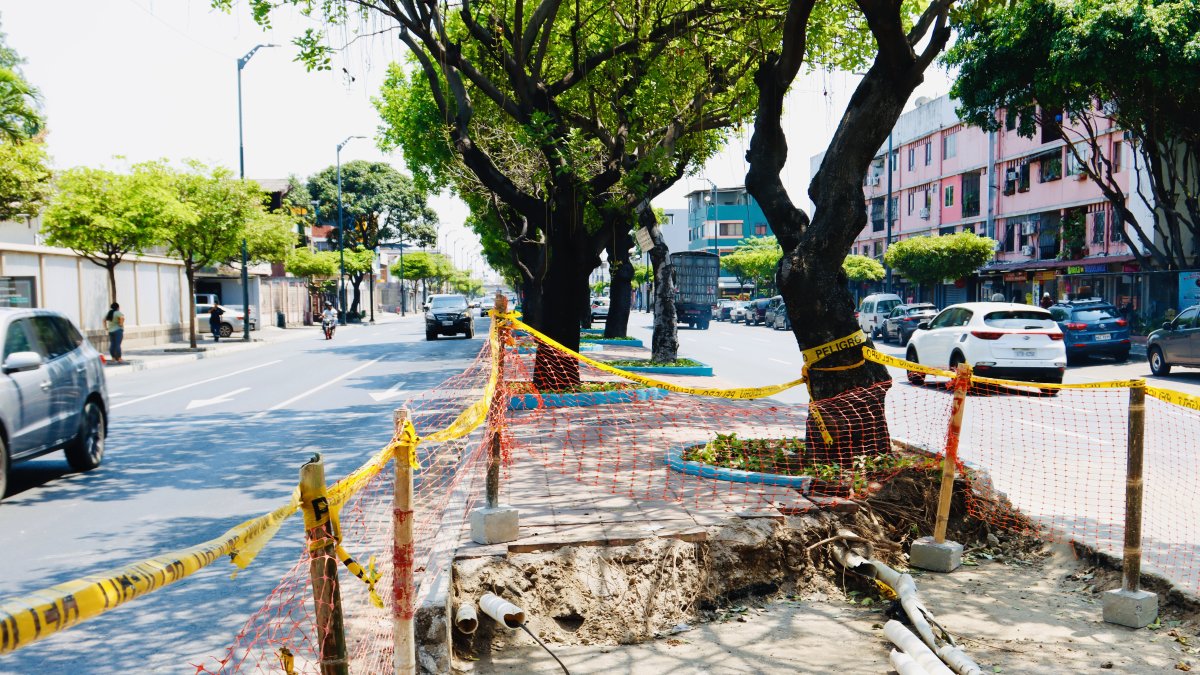 Nuevo cruce entre la FAE y Atarazana facilitará el giro hacia la Menéndez Gilbert.