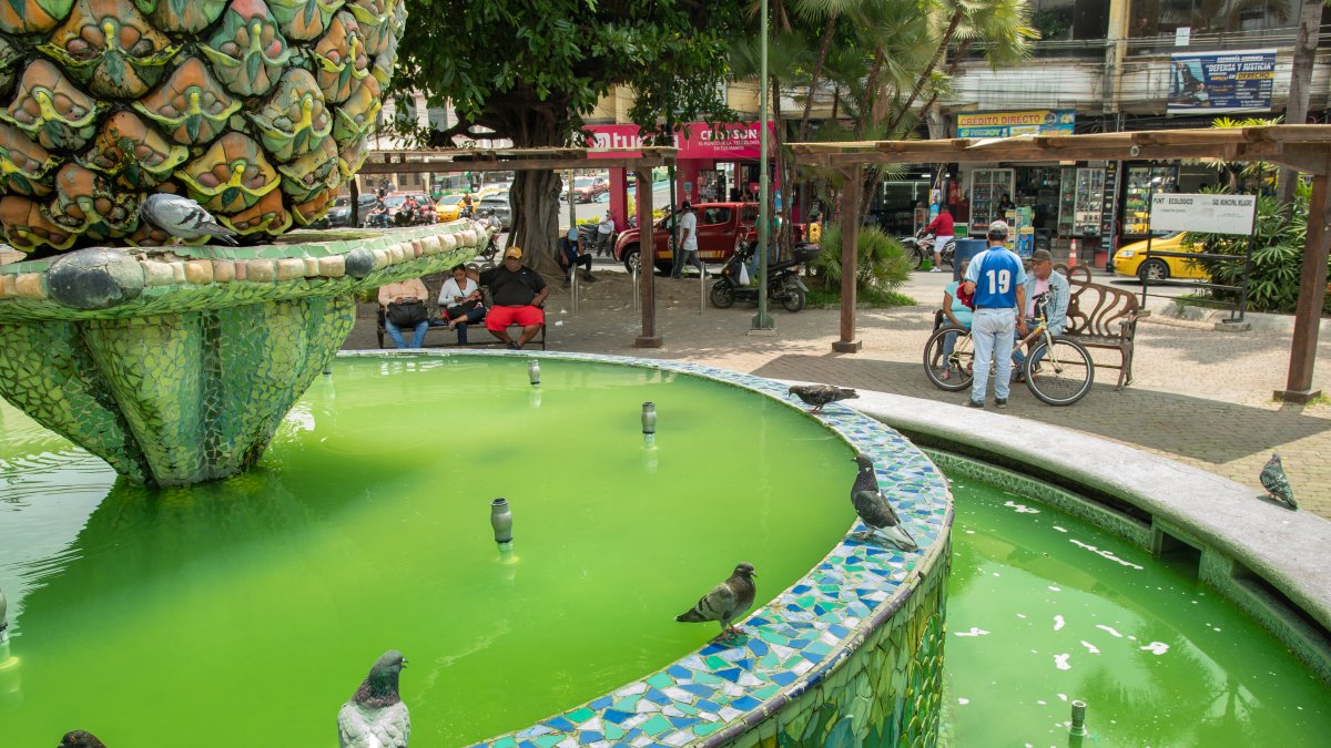 El agua acumulada en la pileta del Parque Central de Milagro representa un peligro para la salud pública por la posible generación de enfermedades.