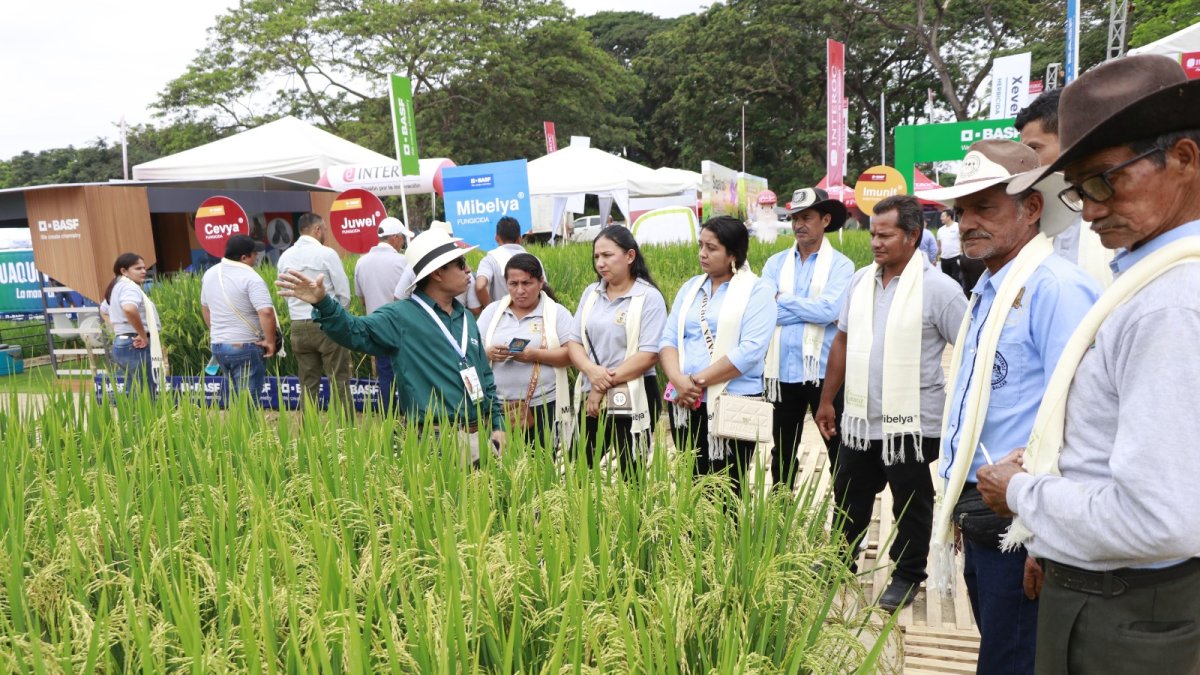 Capacitación. Expertos del congreso muestran a agricultores mejores técnicas de productividad.