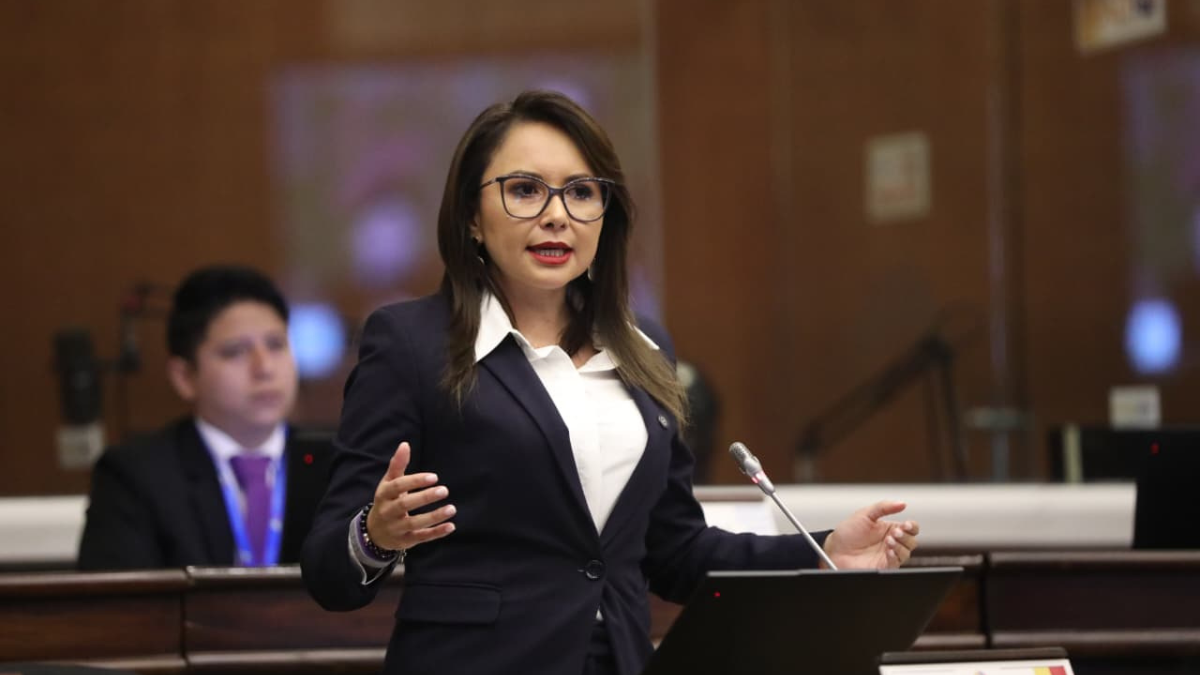 La nueva ministra de Gobierno, Nataly Morillo, fue asambleísta del oficialismo.