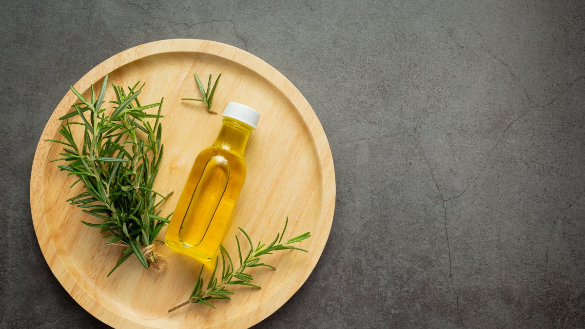 El romero impulsa tu energía y claridad mental