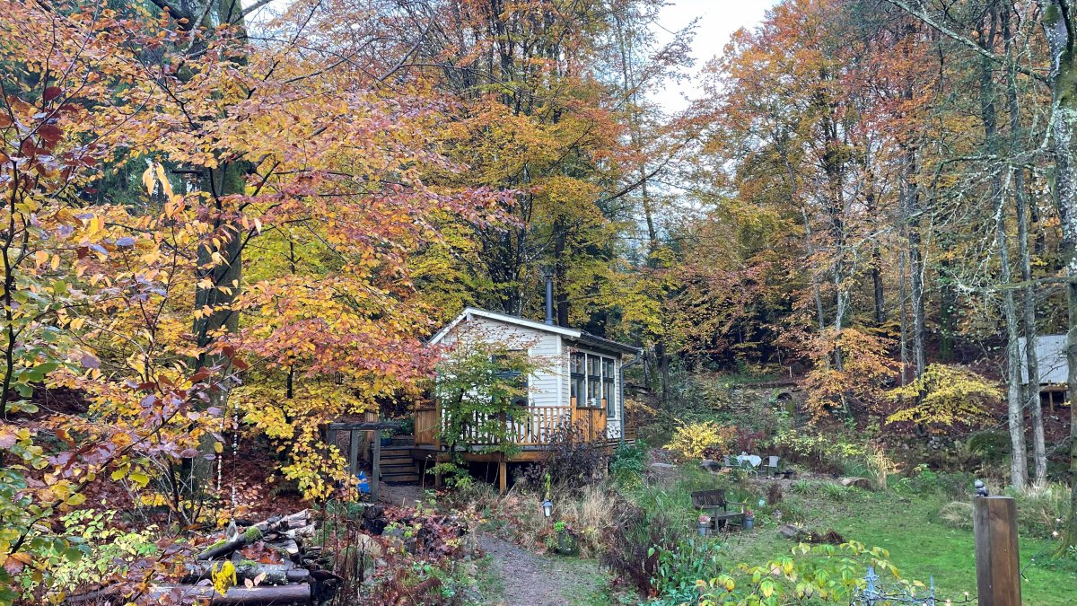 Suecia apuesta por el silencio de sus bosques como antídoto al ruido del mundo.