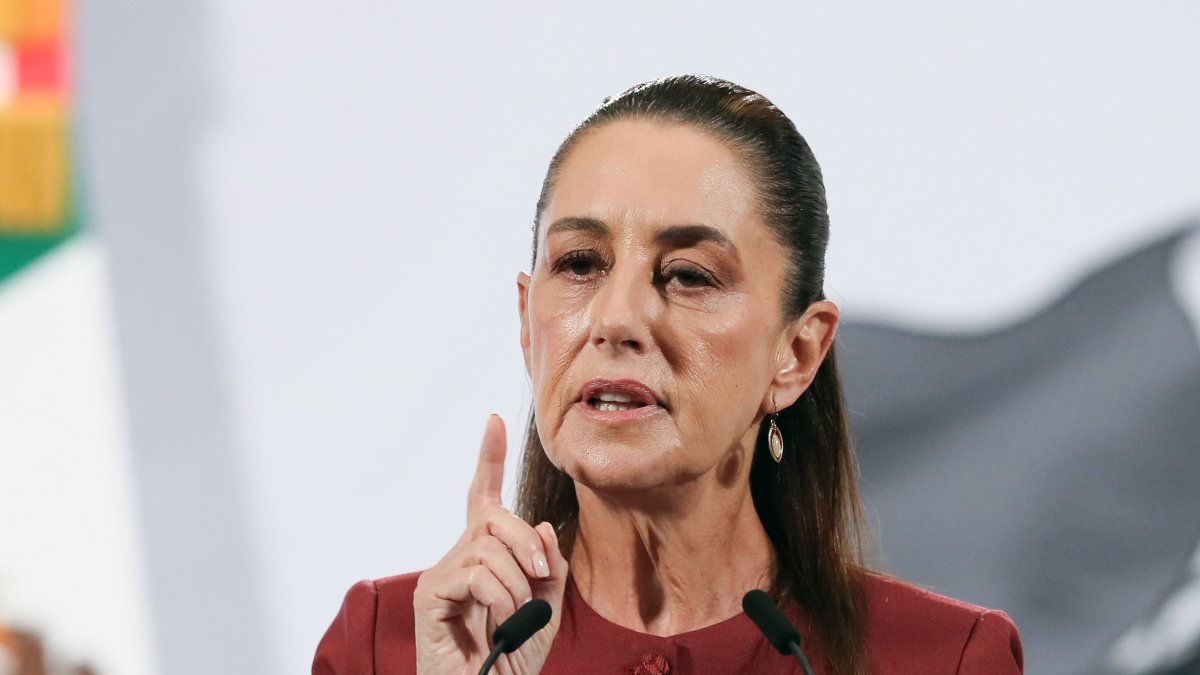 La presidenta Claudia Sheinbaum, en su habitual conferencia de prensa.