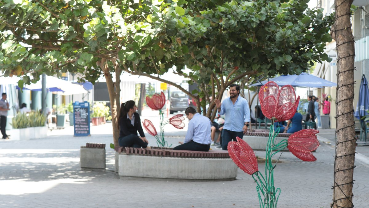La calle Panamá y la Zona Rosa, en el centro de Guayaquil, suelen estar vacías entre semana. El eslogan de Rincón Mágico aún no atrae visitantes.