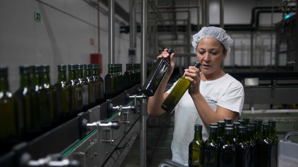 Una planta de una empresa donde se produce aceite de oliva.