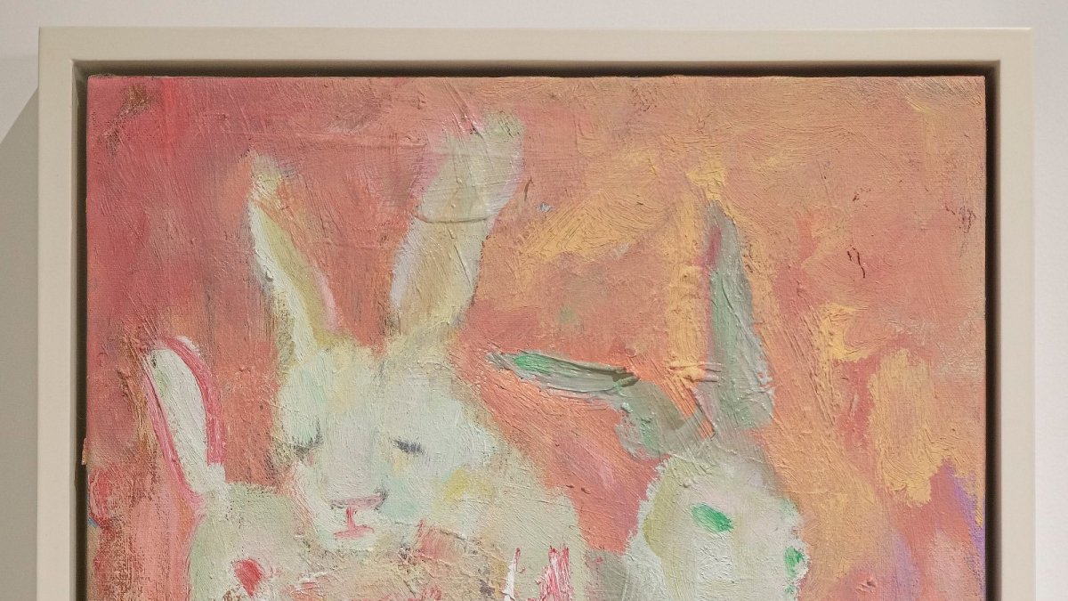 A lo largo de su carrera, Noboa ha presentado más de treinta exposiciones individuales