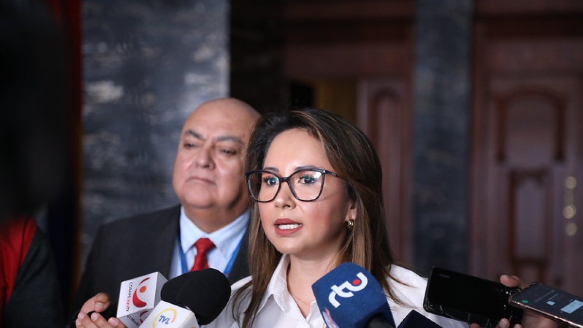 Nataly Morillo es la ministra de Gobierno del actual régimen.