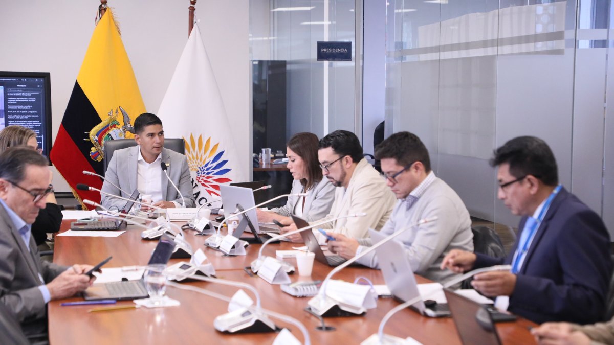 Jaime Estrada, del correísmo, preside la Comisión de Garantías Constitucionales.