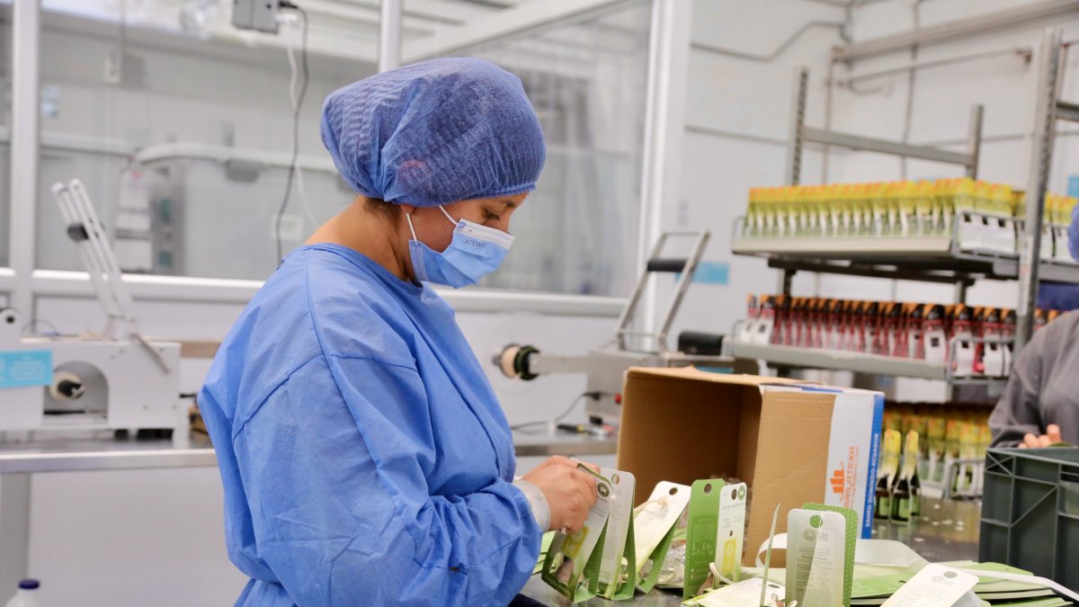 Feria. Lulë es uno de los emprendimientos quiteños que viajará en diciembre de 2025 a Seúl, Corea del Sur.