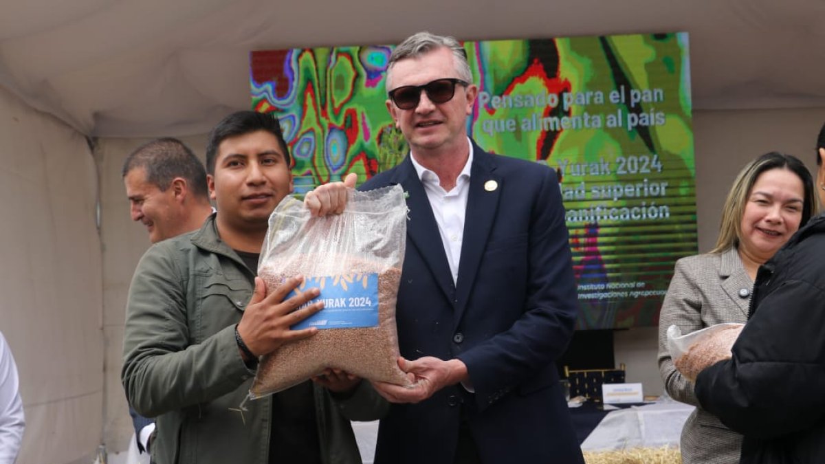 Nueva variedad de trigo aumentará la producción en 10%.