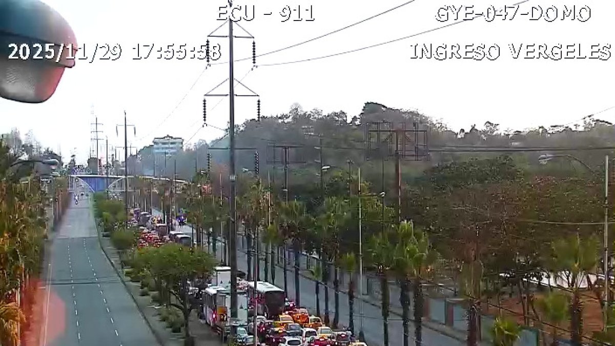 El tráfico vehicular en la avenida Francisco de Orellana colapsó en el sentido norte-sur, debido al incendio forestal.