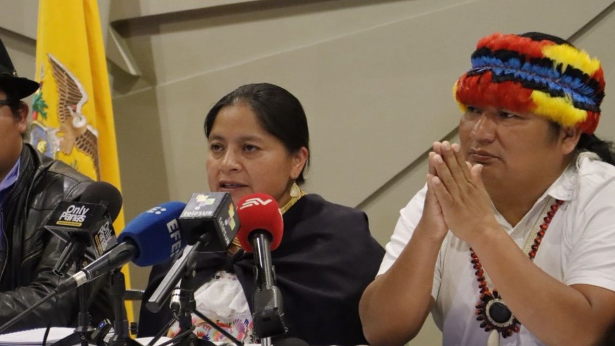 Ercilia Castañeda interpuso la acción de acceso a la información con la que la Conaie busca conocer detalles de los operativos en el paro.