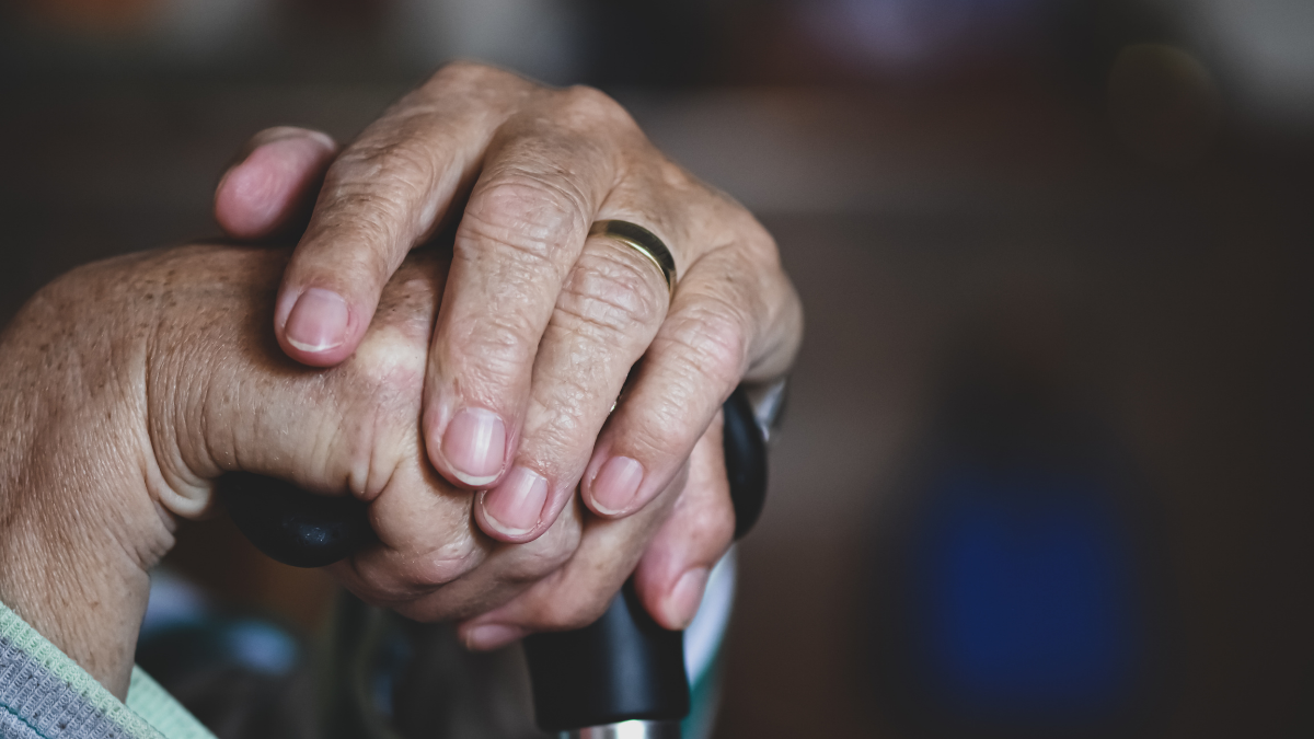 Los jubilados reciben el pago del décimo en diciembre.