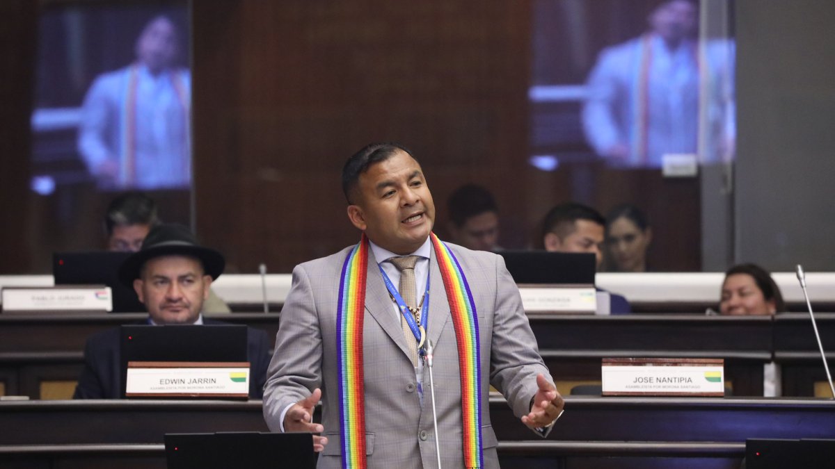 El proyecto de resolución fue presentado por el asambleísta del movimiento indígena, José Luis Nango.