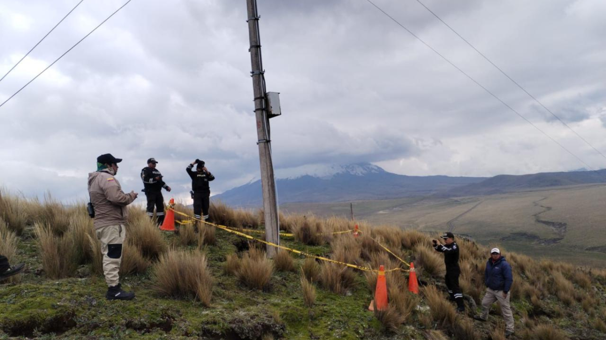Cóndor juvenil fue hallado muerte en el parque Antisana.