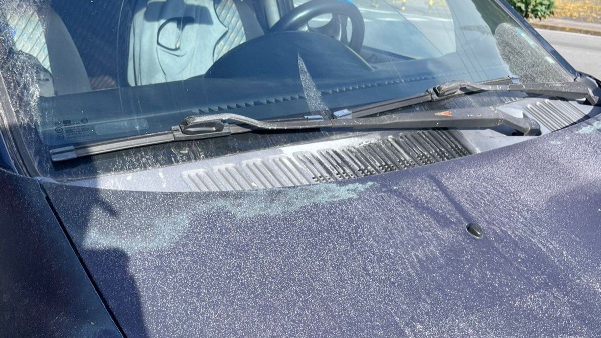 La capa de ceniza del volcán Reventador cubrió vehículos y viviendas del sector Reventador, en la provincia de Sucumbíos.