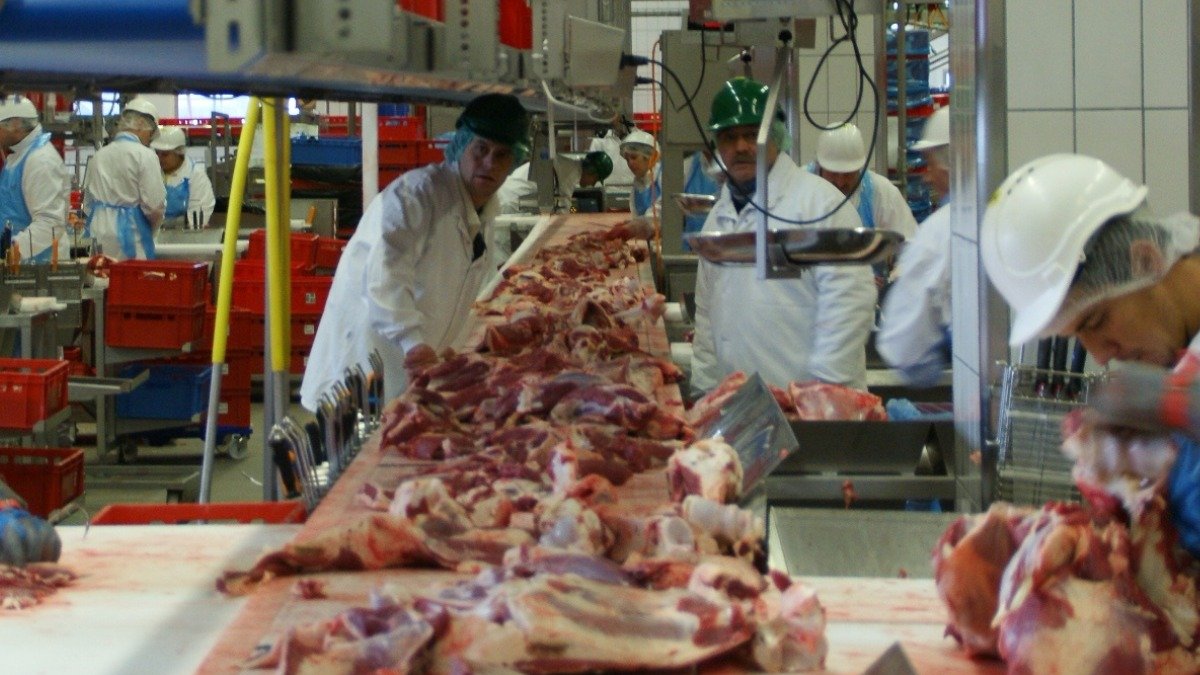 El Concejo Municipal de Guayaquil debatirá este 3 de diciembre la creación de Camalquil EP.