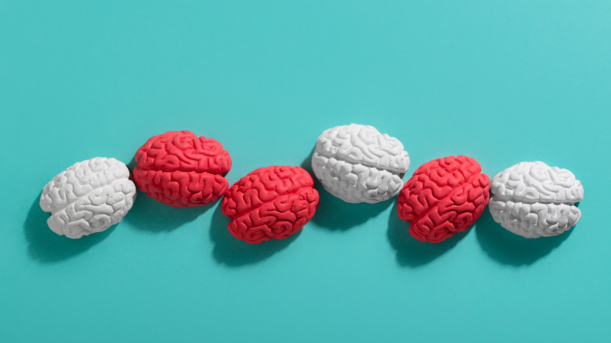 Neurociencia identifica 5 etapas cerebrales. No es un declive lineal