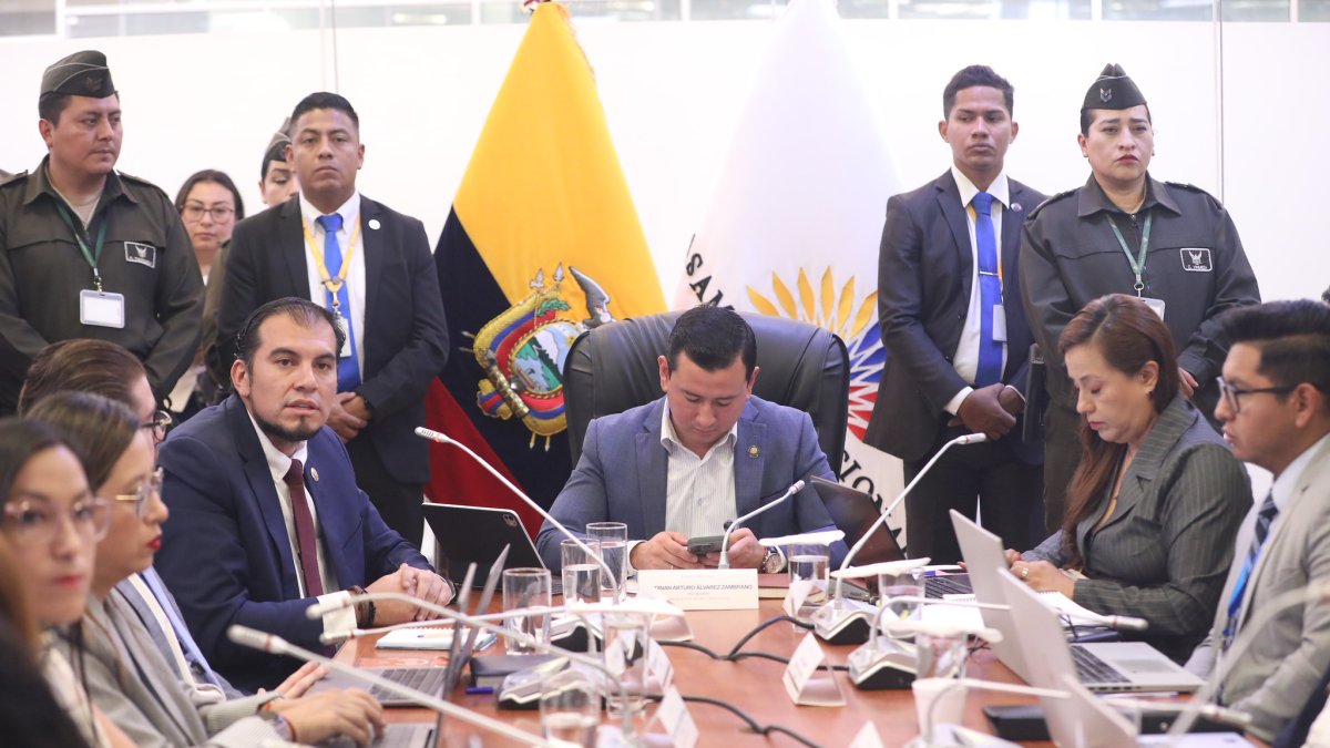 La Comisión de Fiscalización revisó el trámite que habilitó a Álvaro Rosero para un cargo público