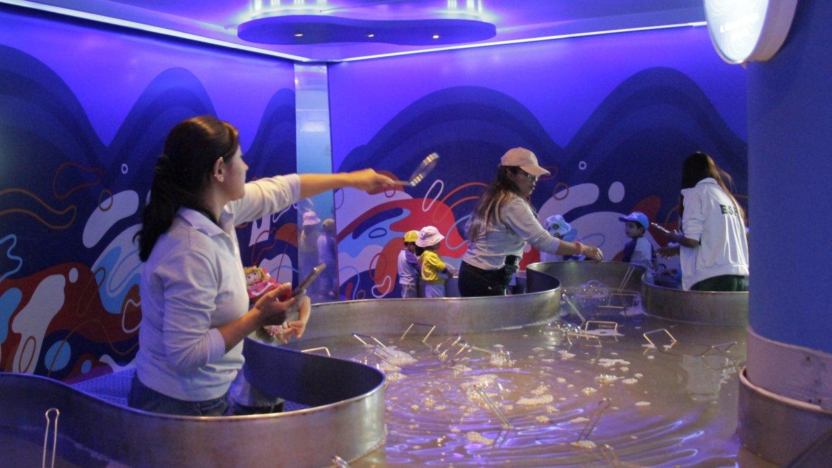 Yaku, MIC, Museo de la Ciudad y Carmen Alto recibirán visitantes con actividades especiales.