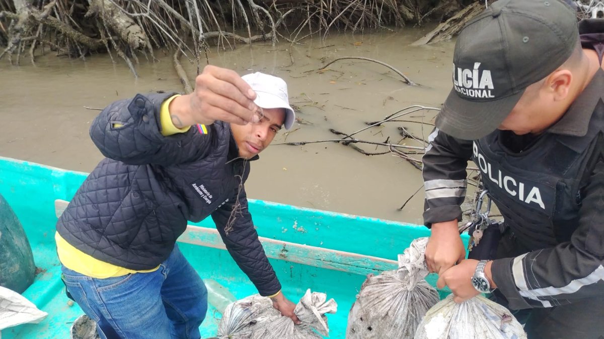 Policía inspecciona el cargamento de cangrejos.