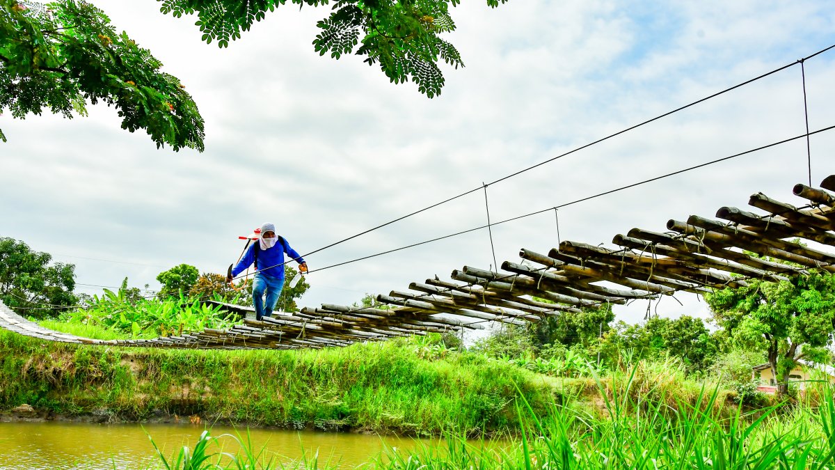 Daule. 1000 hectáreas de producción del recinto Comején pasan por puente en estado crítico sobre el río Pula
