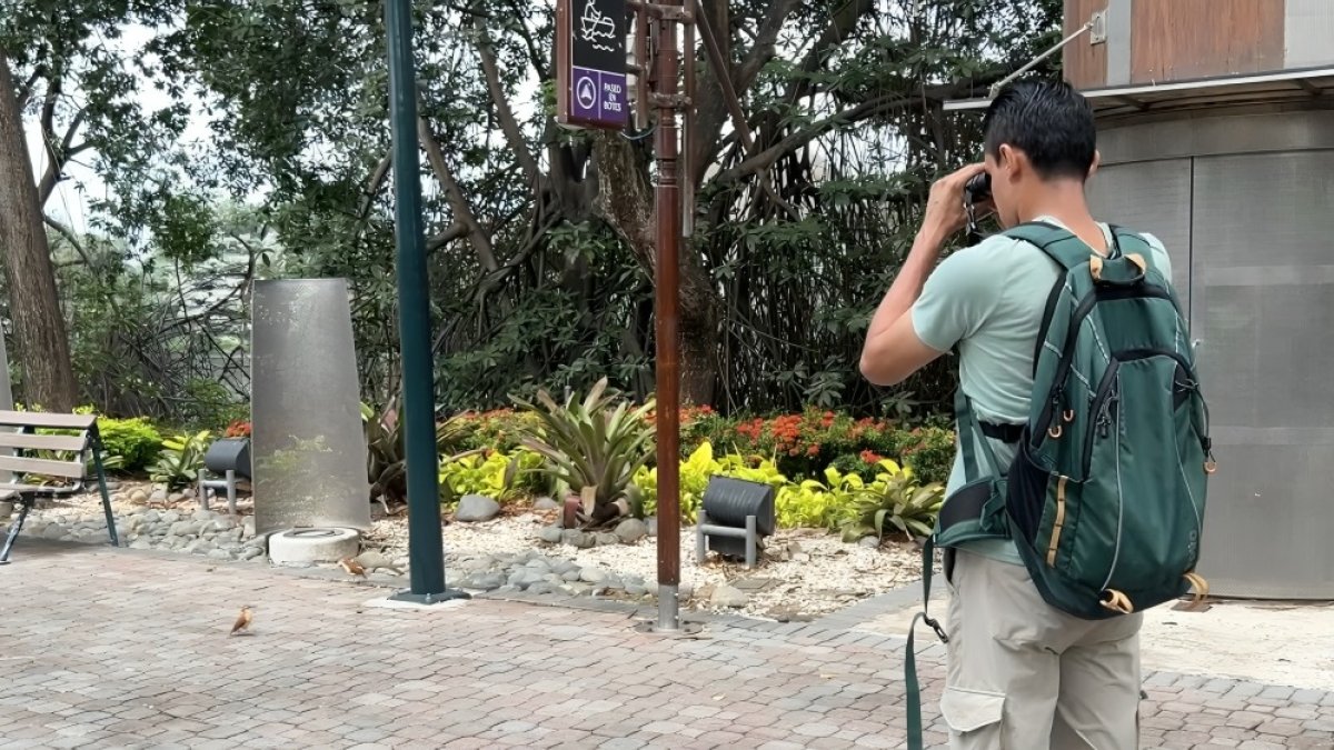 Paseo. El Malecón del Salado es uno de los sitios donde los turistas locales y foráneos pueden divisar aves.