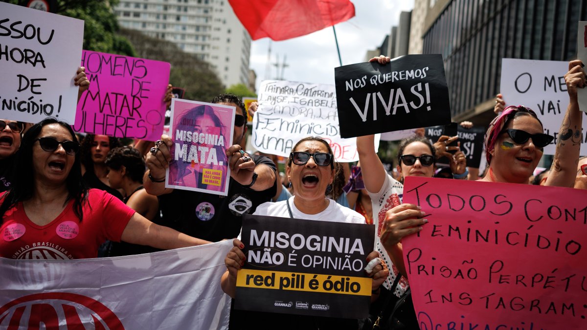 Protesta por la violencia contra la mujer en brasiñ