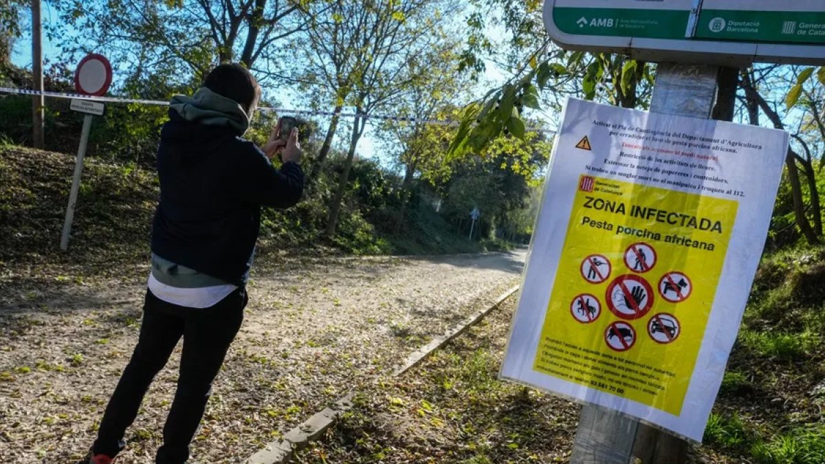 Uno de los accesos al Parque Natural de Collserola alertando de la presencia de la peste porcina.