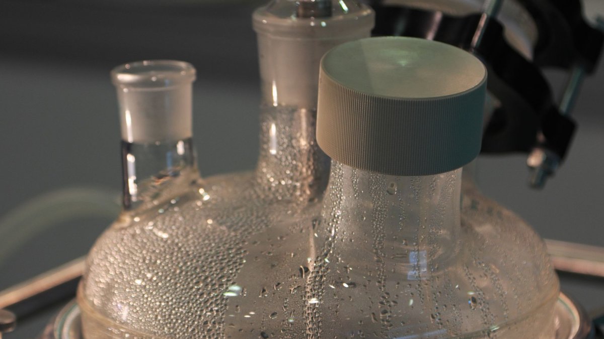 Un estudio de la UTEG demuestra que un reactor biológico secuencial puede reducir hasta en 87 % la carga contaminante de los efluentes porcinos