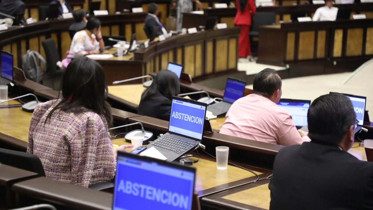 ADN tuvo que votar en abstención la no tener asegurados los votos para archivar la ley en primer debate.