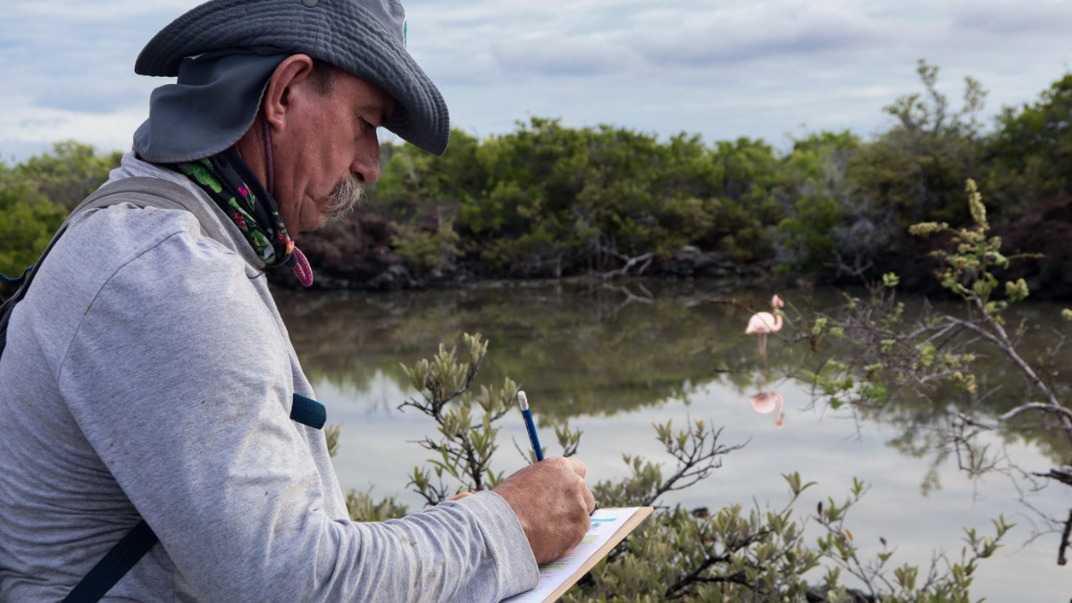 Un guardaparque realiza el conteo de flamingos en una de las lagunas de Galápagos durante el censo 2025, que confirmó la estabilidad de esta especie emblemática.