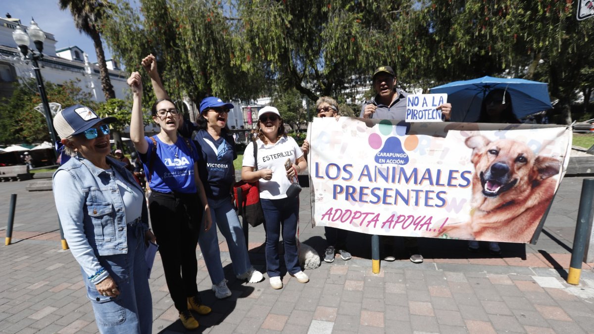 Colectivos realizron un plantón este 9 de diciembre en la Plaza Grande.