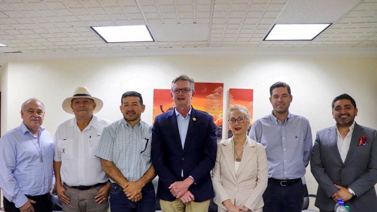 La caja de plátano para el 2026 se fija en $7,75