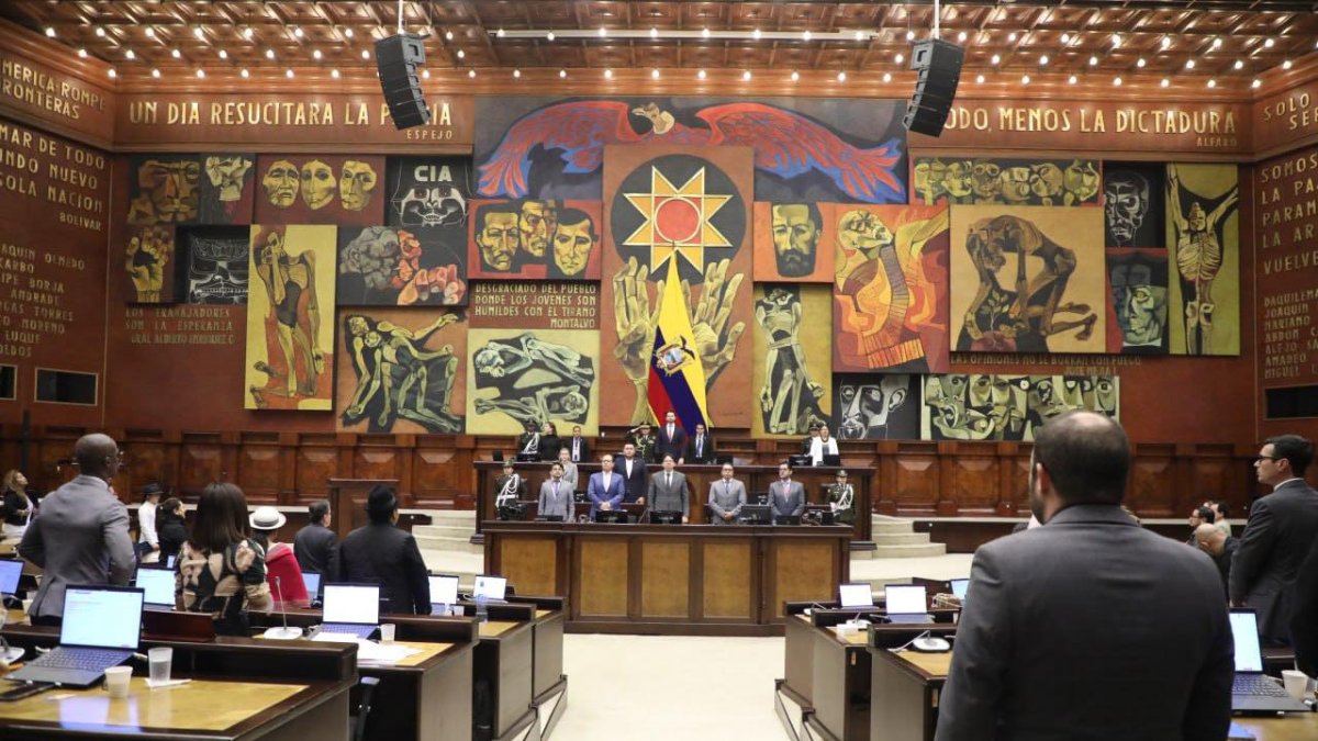 La Asamblea Nacional no conoció el informe para primer debate del proyecto de Ley Orgánica de Repetición.