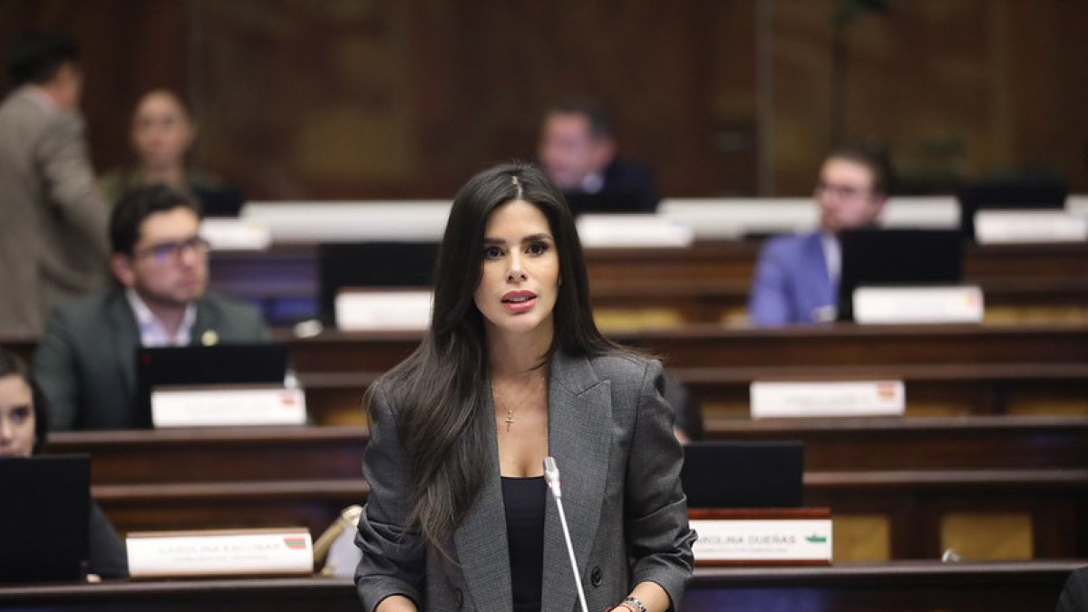 La legisladora oficialista, Diana Jácome, busca reformar el COIP para que algunos delitos no sean prescriptibles.