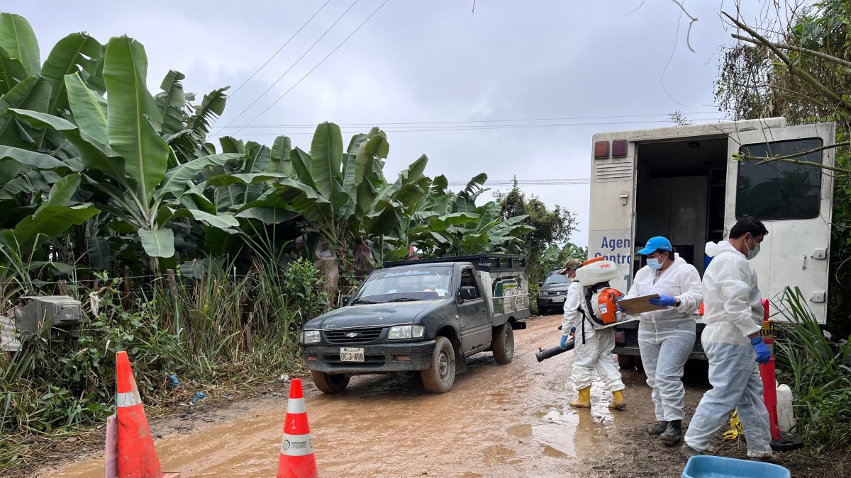 La actividad de control que lleva Agrocalidad en la provincia de El Oro, por brote del hongo Fusarium Raza 4 Tropical.